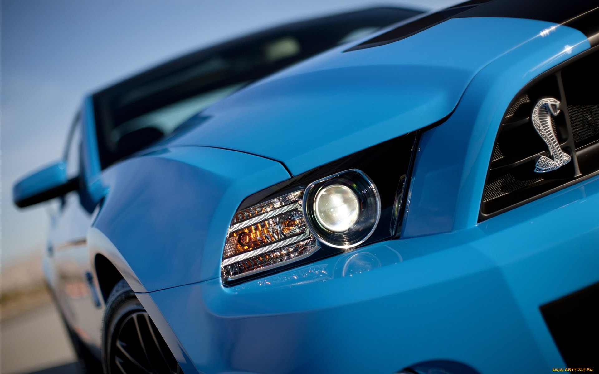 ford, shelby, gt500, 2013, , , 
